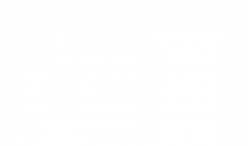 Adrenaline Auto Detailing