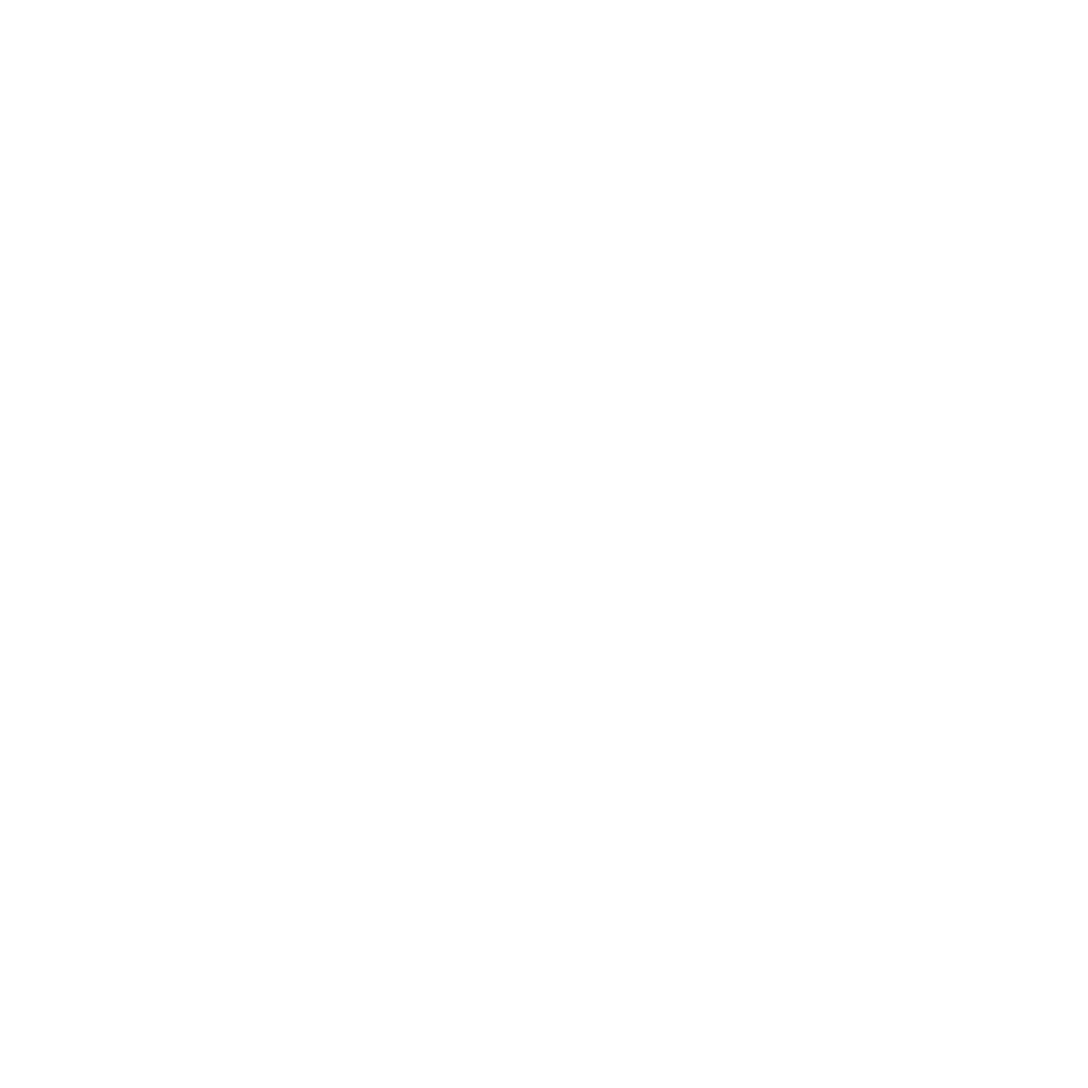 Adrenaline Auto Detailing