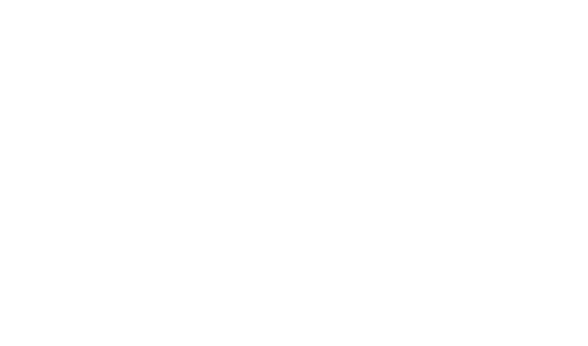 Adrenaline Auto Detailing