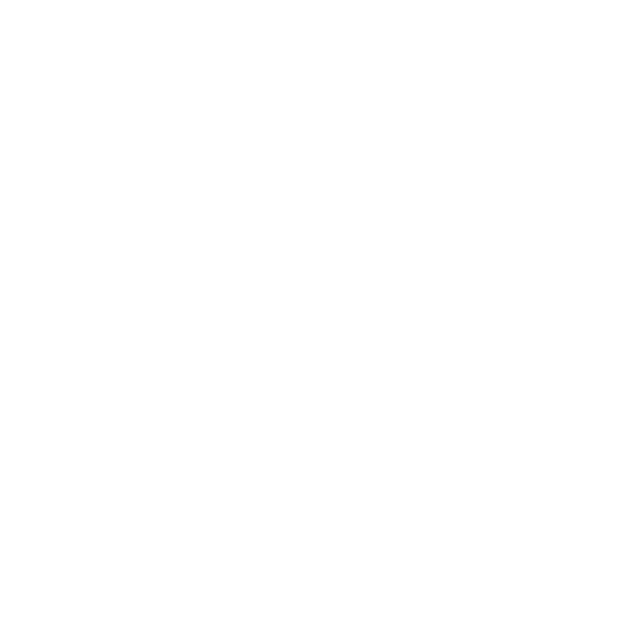 Adrenaline Auto Detailing