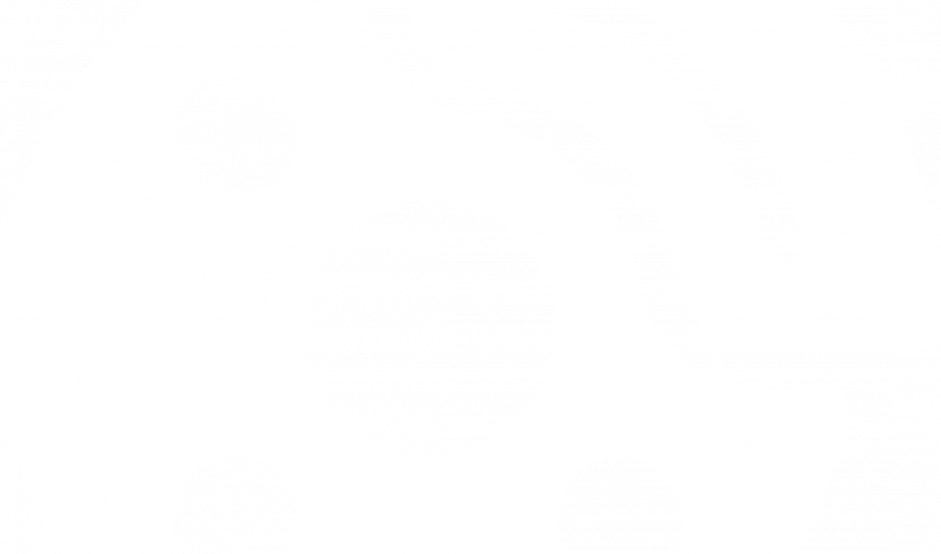 Adrenaline Auto Detailing