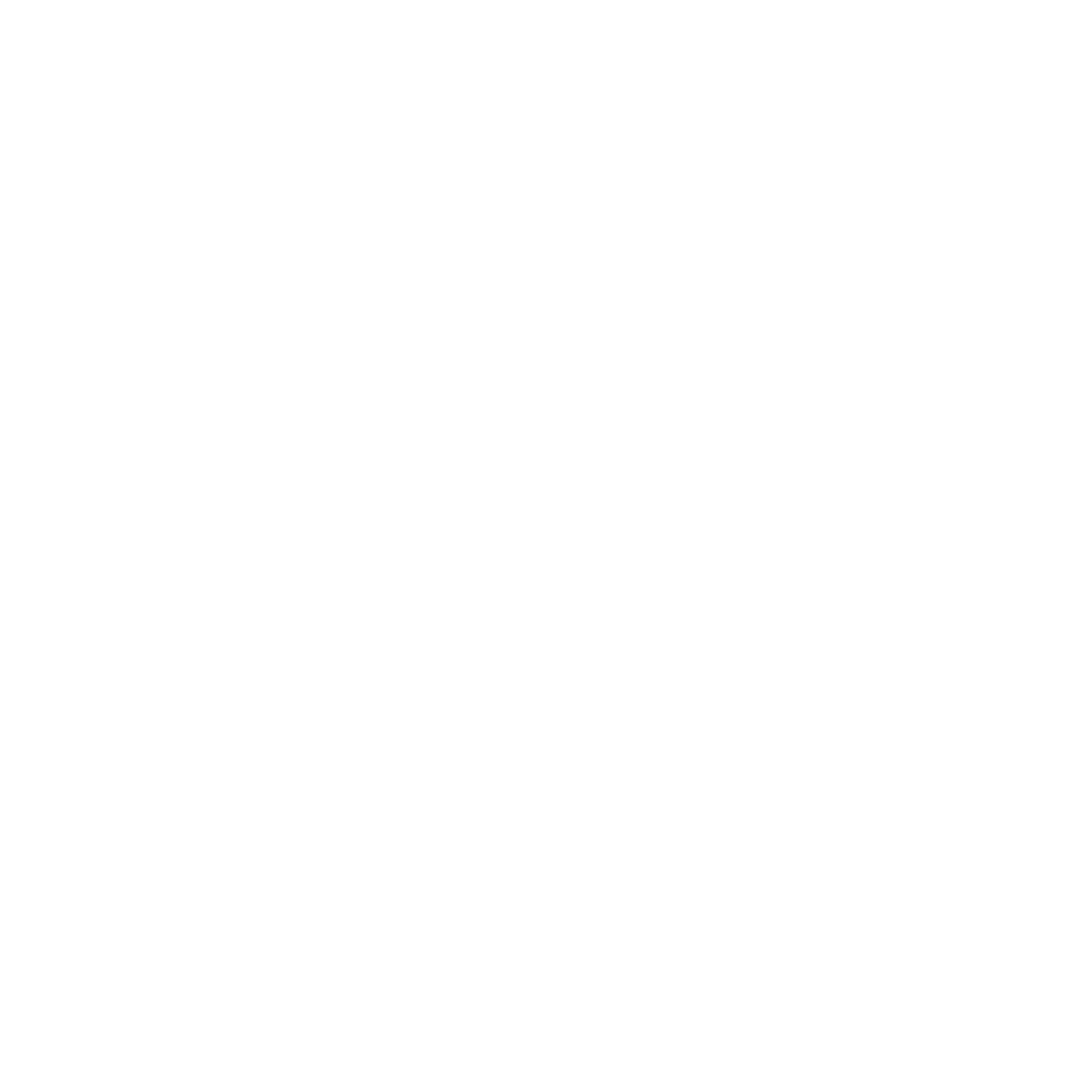 Adrenaline Auto Detailing